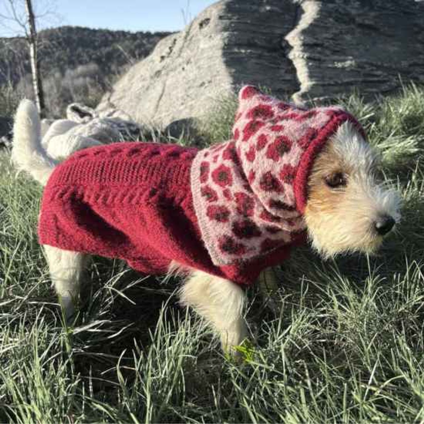 🐕Morild Bestevenn Balaclava XS/S med refleks, rosa