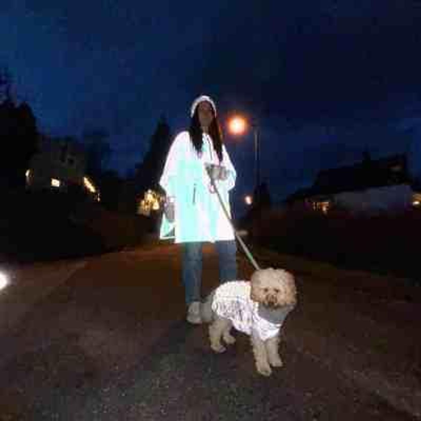 🐕Morild Bestevenn Genser S/30cm med refleks, grå